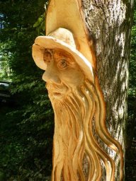 tj13-14 pferde titel oeschs 173